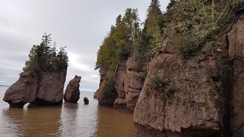 Hopewell Rocks Park | 131ch, Discovery Rd, Hopewell Cape, NB E4H 4Z5, Canada | Phone: (877) 734-3429