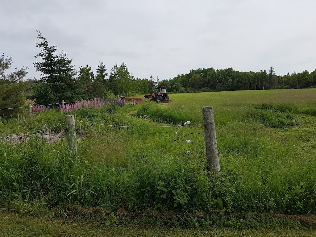 Emmerdale Eden Farm | 10 Emery Rd, Summerside, PE C1N 4J8, Canada | Phone: (902) 436-5180