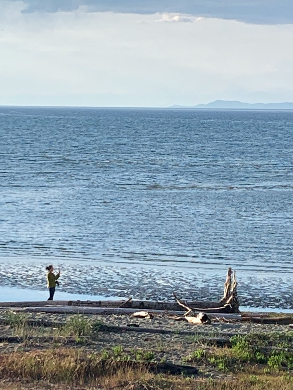 Vacation Rental and Real Estate | 5251 West, Island Hwy W, Qualicum Beach, BC V9K 2C1, Canada | Phone: (407) 683-2799