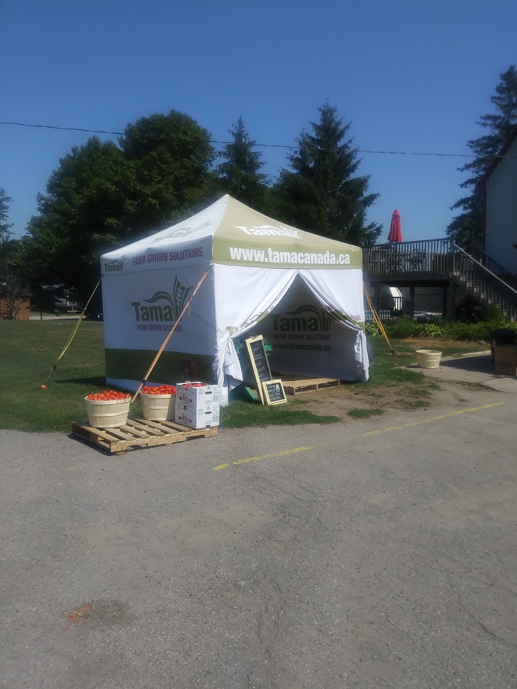 Chary Produce | 18 King St S, Oakland, ON N0E 1L0, Canada | Phone: (519) 446-2687