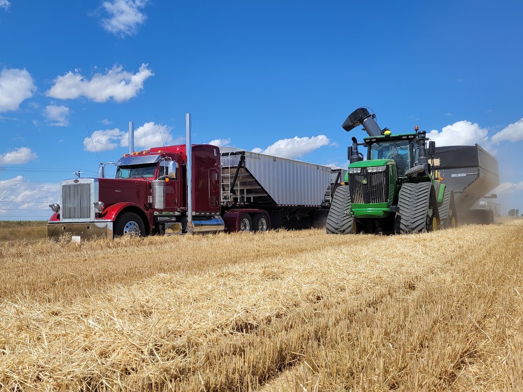DDL Trucking Ltd. | 174065, Township Rd 100, Barnwell, AB T0K 0B0, Canada | Phone: (403) 715-2138