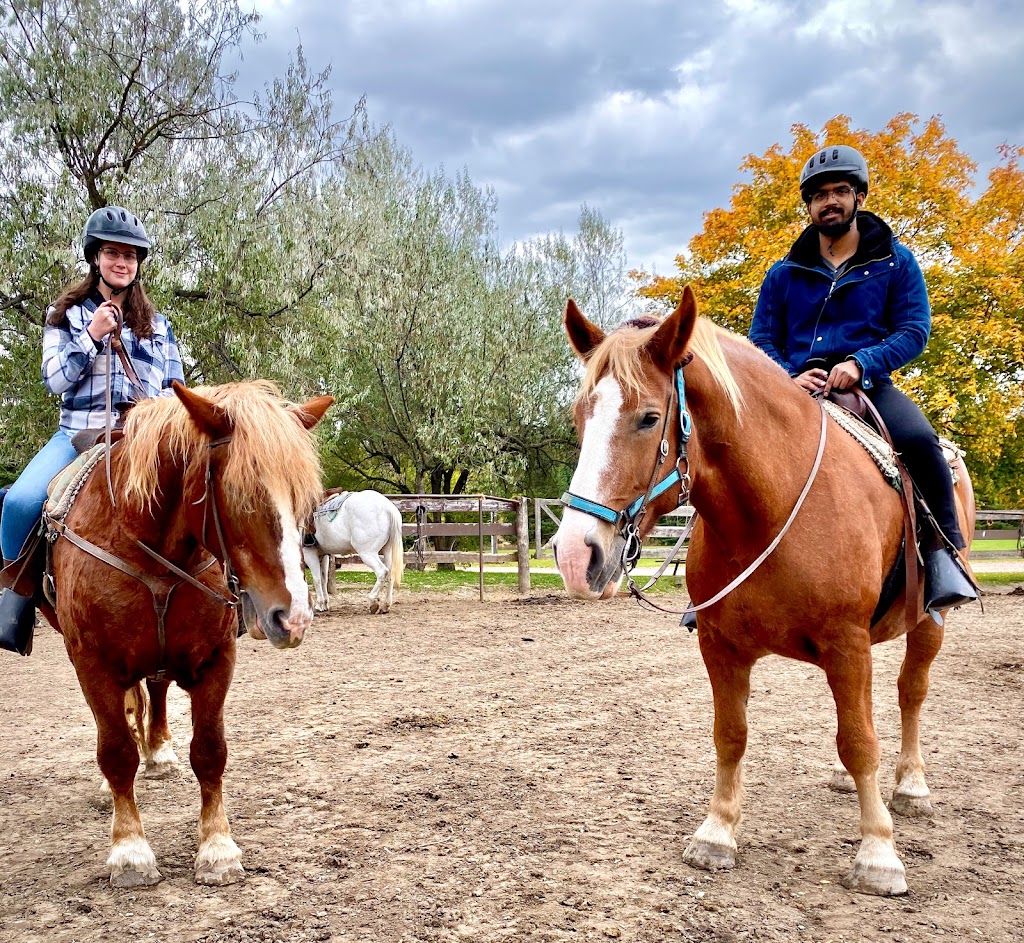 Claireville Ranch | 3805 Queen St E, Brampton, ON L6T 0B3, Canada | Phone: (905) 794-0700