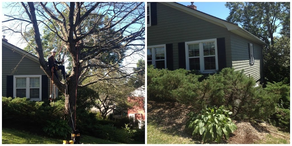 Ground to Crown Tree Services | 4537 Prospect Rd, Kentville, NS B4N 3V8, Canada | Phone: (902) 679-8733