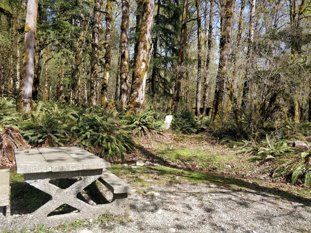 Pine Point Recreation Site | 11391-11457 N Shore Rd, Youbou, BC V0R 3E1, Canada | Phone: (250) 701-1976