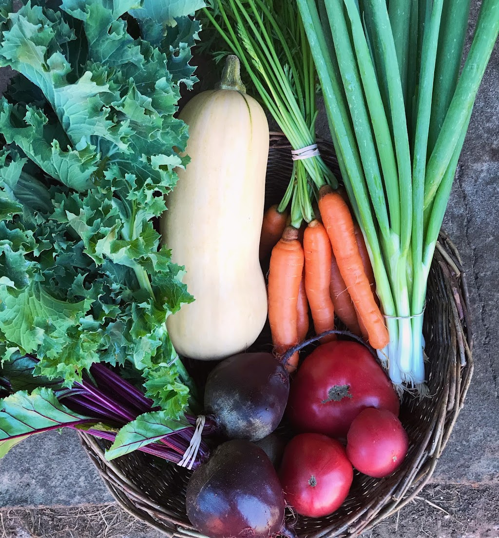 Tendergreens Farm | 3553 Milman Rd, Courtenay, BC V9J 1N8, Canada | Phone: (250) 896-4981