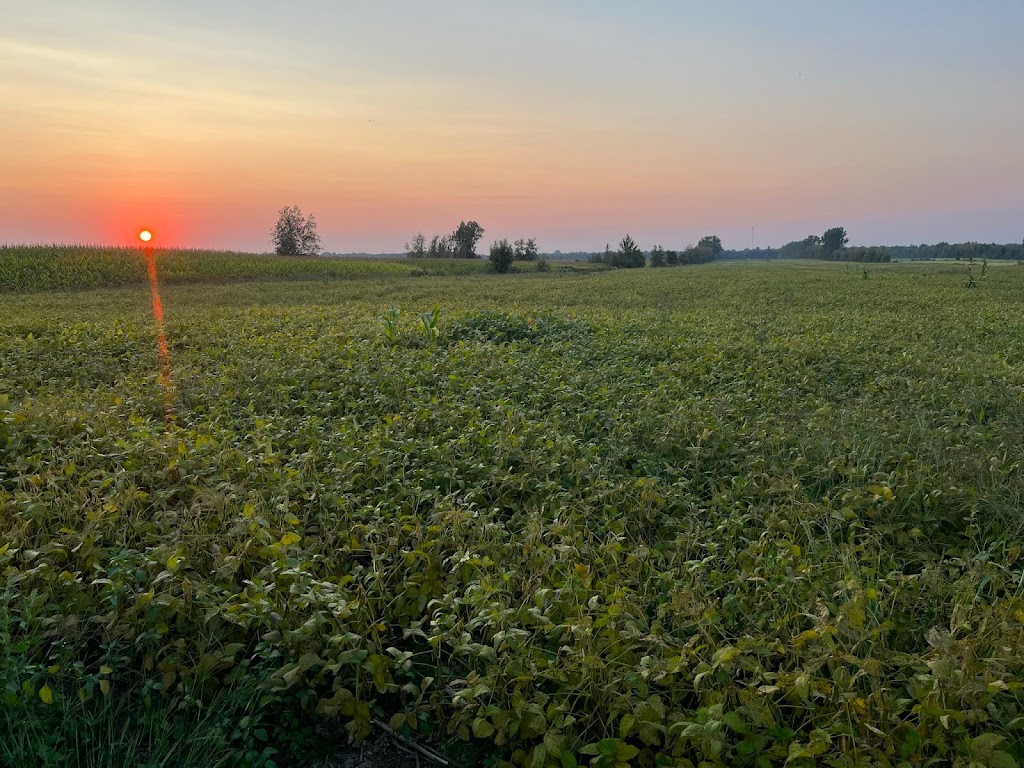 Gîte - La ruée vers l’orge | 3931 Rue Notre Dame E, Trois-Rivières, QC G8V 1Z1, Canada | Phone: (819) 699-4258