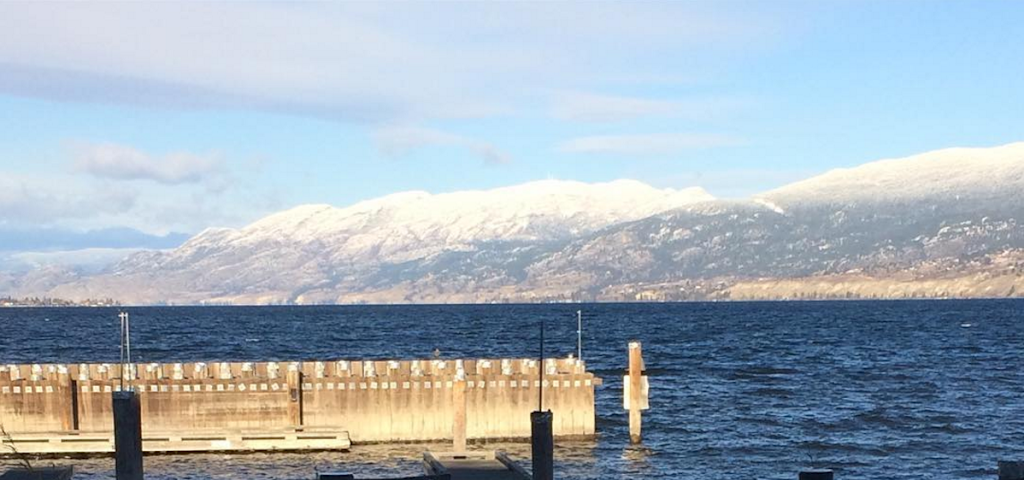 The Barking Parrot Bar | 21 Lakeshore Dr W, Penticton, BC V2A 7M5, Canada | Phone: (250) 493-9753