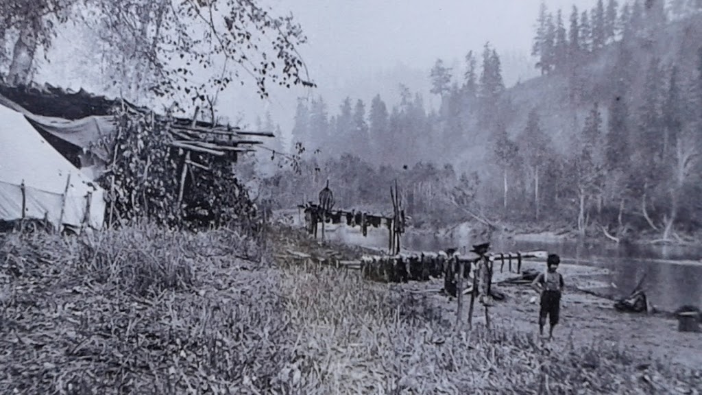 Quilakwa RV Park | 20 Enderby Grindrod Rd, Enderby, BC V0E 1V4, Canada | Phone: (250) 838-2022