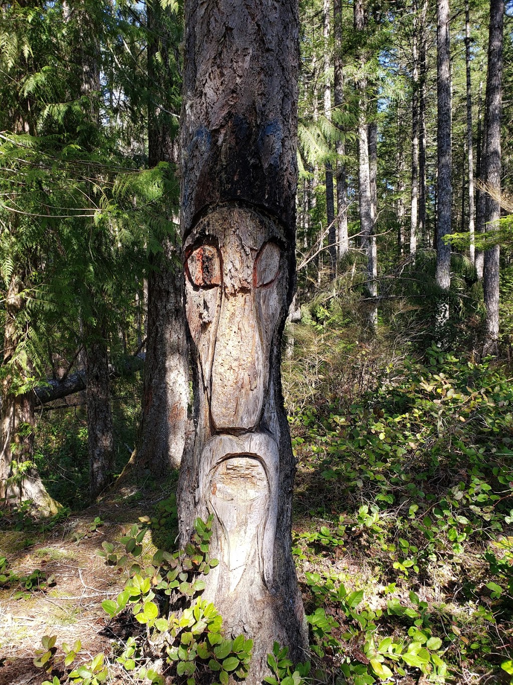 Chemainus River Provincial Park | Lake Cowichan, BC V0R 2G0, Canada