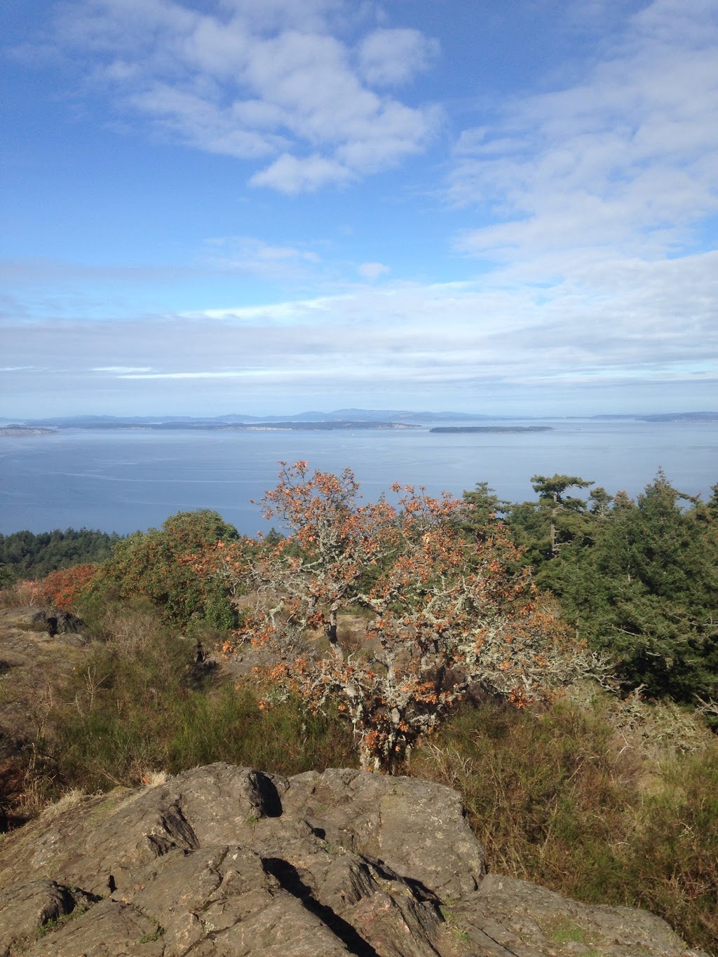 Shell | 828 Deloume Rd, Mill Bay, BC V0R 2P2, Canada | Phone: (250) 743-4443