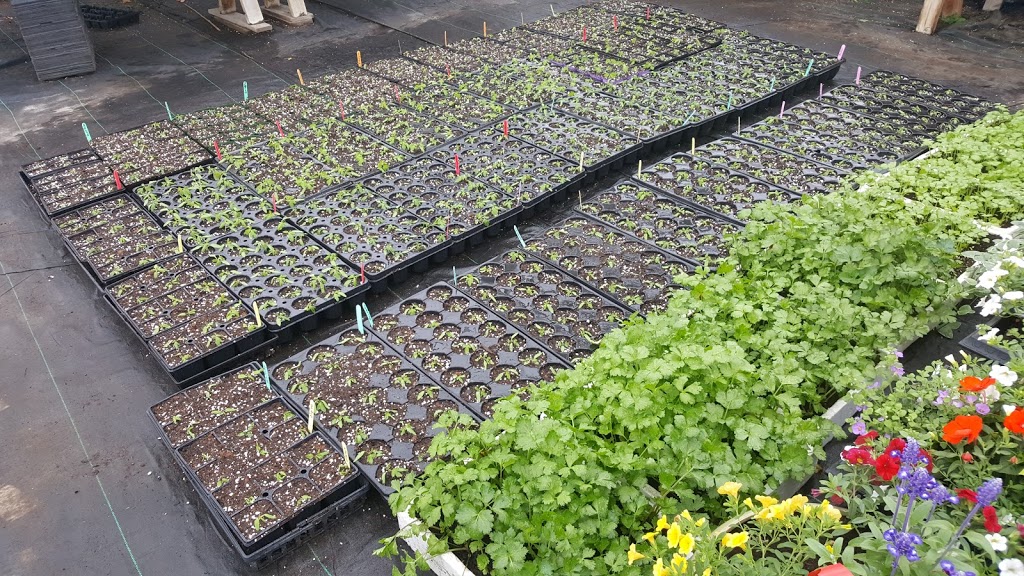 Jardins la brouette | 168 Rang du Chenal Tardif, Pierreville, QC J0G 1J0, Canada | Phone: (819) 816-8667