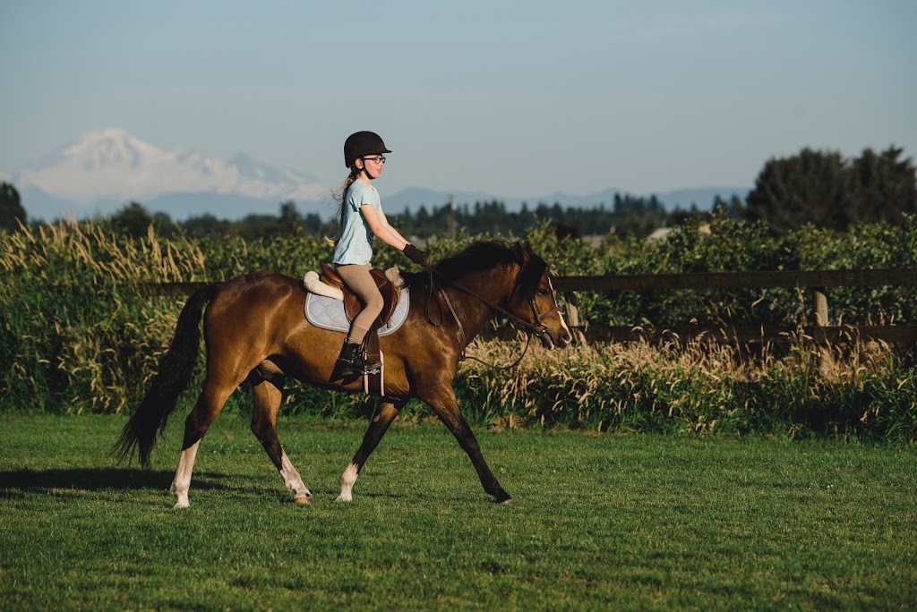 Maple Meadows Equestrian Centre | 13634 Harris Rd, Pitt Meadows, BC V3Y 2T3, Canada | Phone: (604) 816-1400