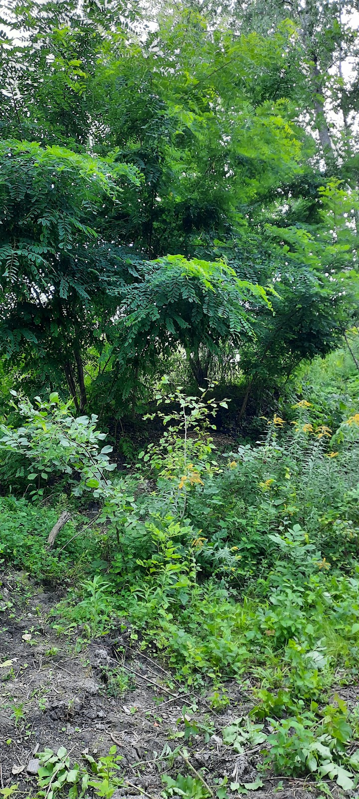 Jardin Ancestral Farming | 1450 Mnt Wilson, Ile-Bizard, QC H9E 1K3, Canada | Phone: (514) 435-2147