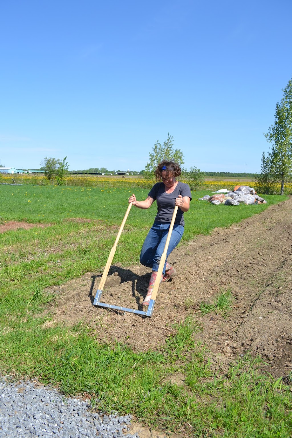 Jardins la Clé du Sol 78 Chemin de la GrandeLigne, SaintBernardde