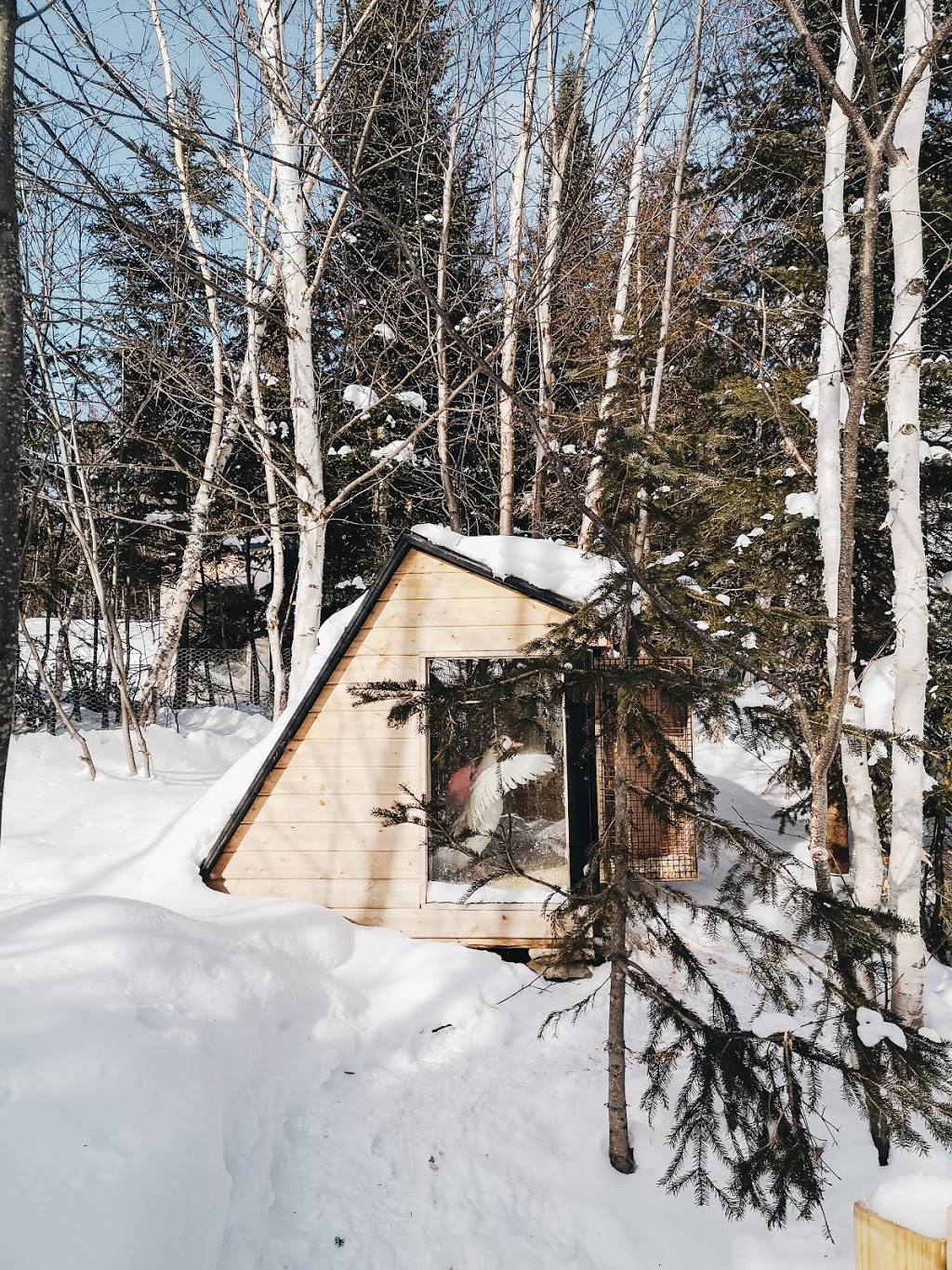 Repère Boréal | 3141 Route du Fleuve, Les Éboulements, QC G0A 2M0, Canada | Phone: (418) 635-1153