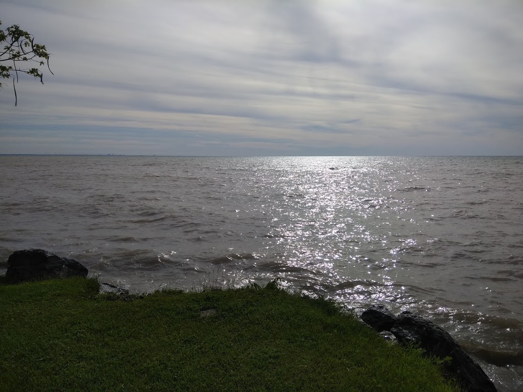 Turkey Point Watersports | 47 Cedar Dr, Turkey Point, ON N0E 1T0, Canada | Phone: (519) 239-3722