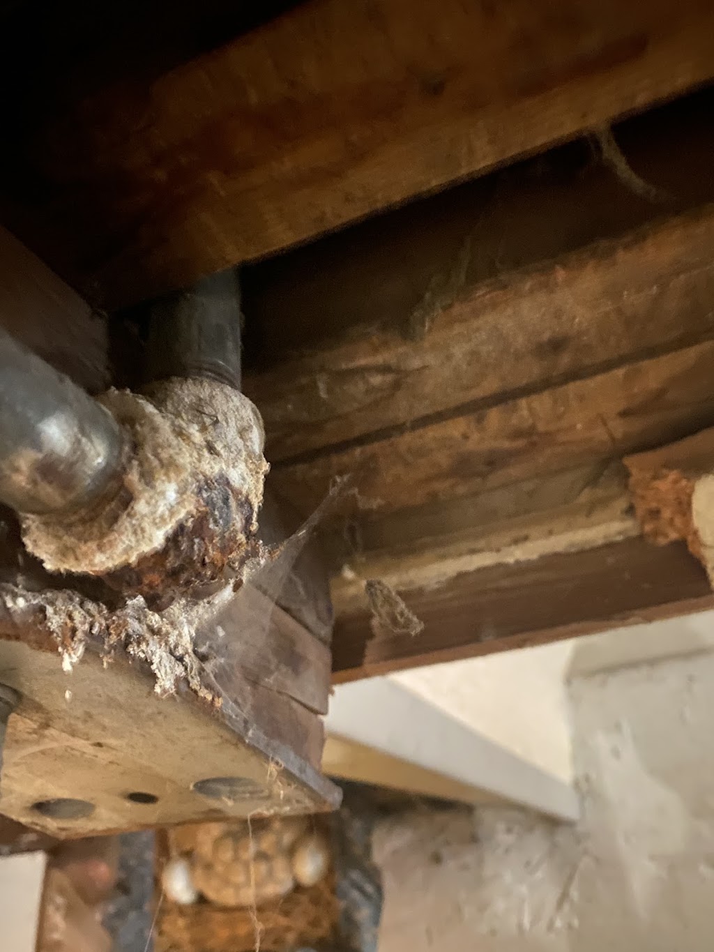 Economy plumbing services | 35 Harvest Ln, Winnipeg, MB R2Y 0R3, Canada | Phone: (204) 888-4849