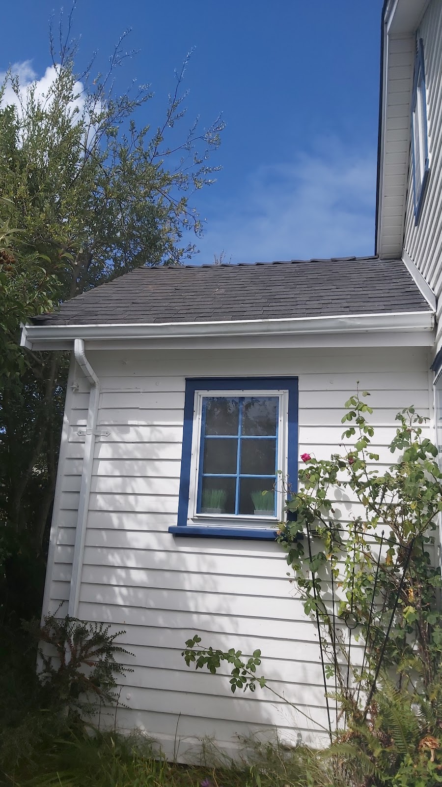 Raven Lawn and Garden | 939 Reeve Pl, Victoria, BC V9A 4R5, Canada | Phone: (250) 857-8206