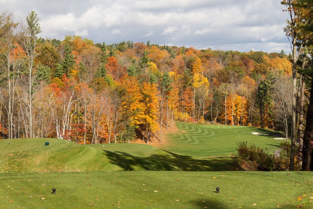 Shelter Valley Pines Golf Club | 1806 Shelter Valley Rd, Grafton, ON K0K 2G0, Canada | Phone: (905) 349-3427