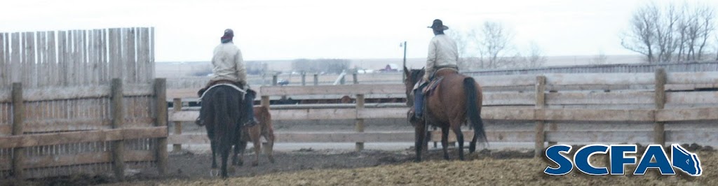 Saskatchewan Cattle Feeders Association | Box 95, Ceylon, SK S0C 0T0, Canada | Phone: (306) 969-2666