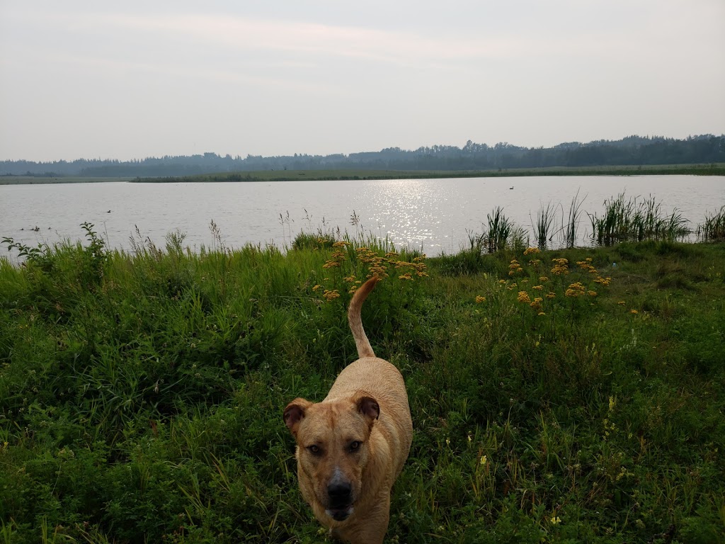 West Rivers Edge Dog Park | Pointe Aux Pins Rd, Fort Saskatchewan, AB T8L 2C5, Canada | Phone: (780) 992-6200