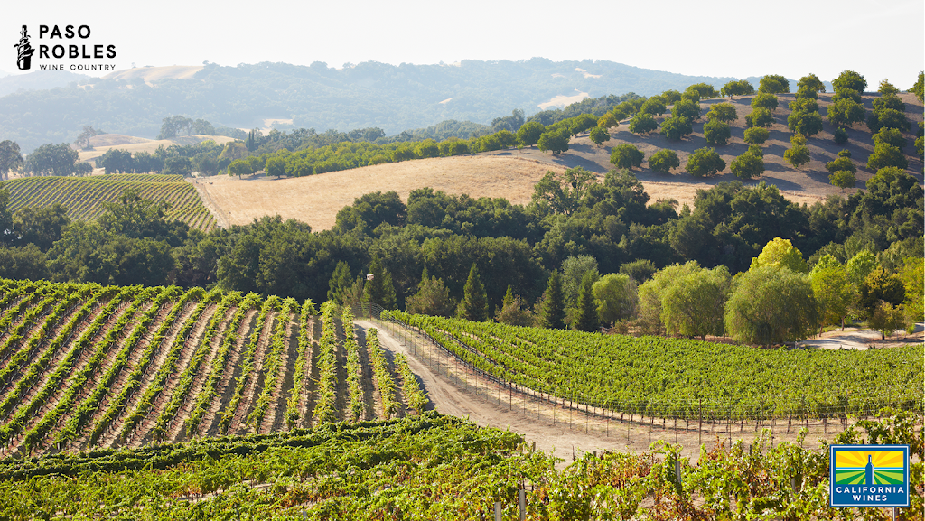 California Wine Institute | 63a Cambridge Ave, Toronto, ON M4K 2L2, Canada | Phone: (416) 997-7468