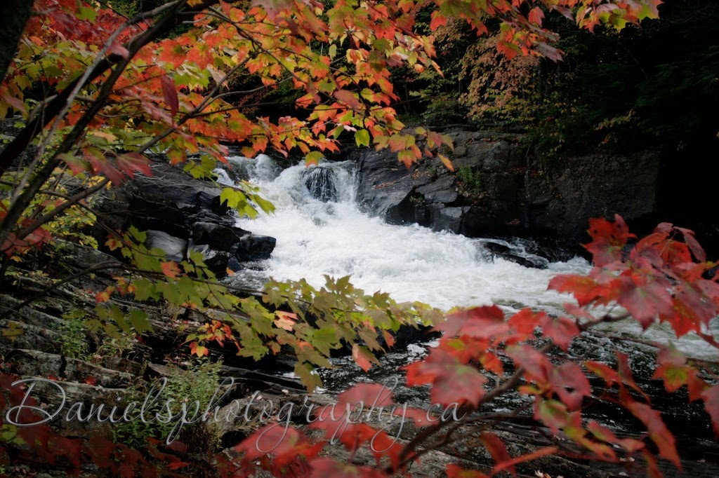 Daniels Photography.ca Inc. | 69 Rosebury Way, Mount Hope, ON L0R 1W0, Canada | Phone: (905) 929-4479