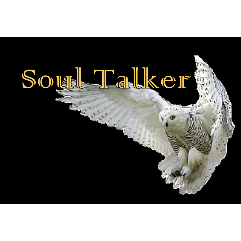 Soul Talker | 106-2699 Battleford Rd, Mississauga, ON L5N 3R9, Canada | Phone: (905) 691-0830