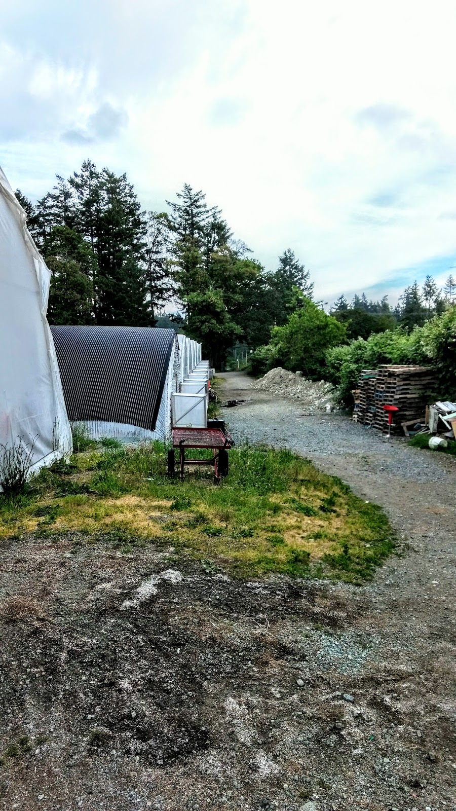 Applied Bio-Nomics Ltd | 11074 W Saanich Rd, North Saanich, BC V8L 5P5, Canada | Phone: (250) 656-2123