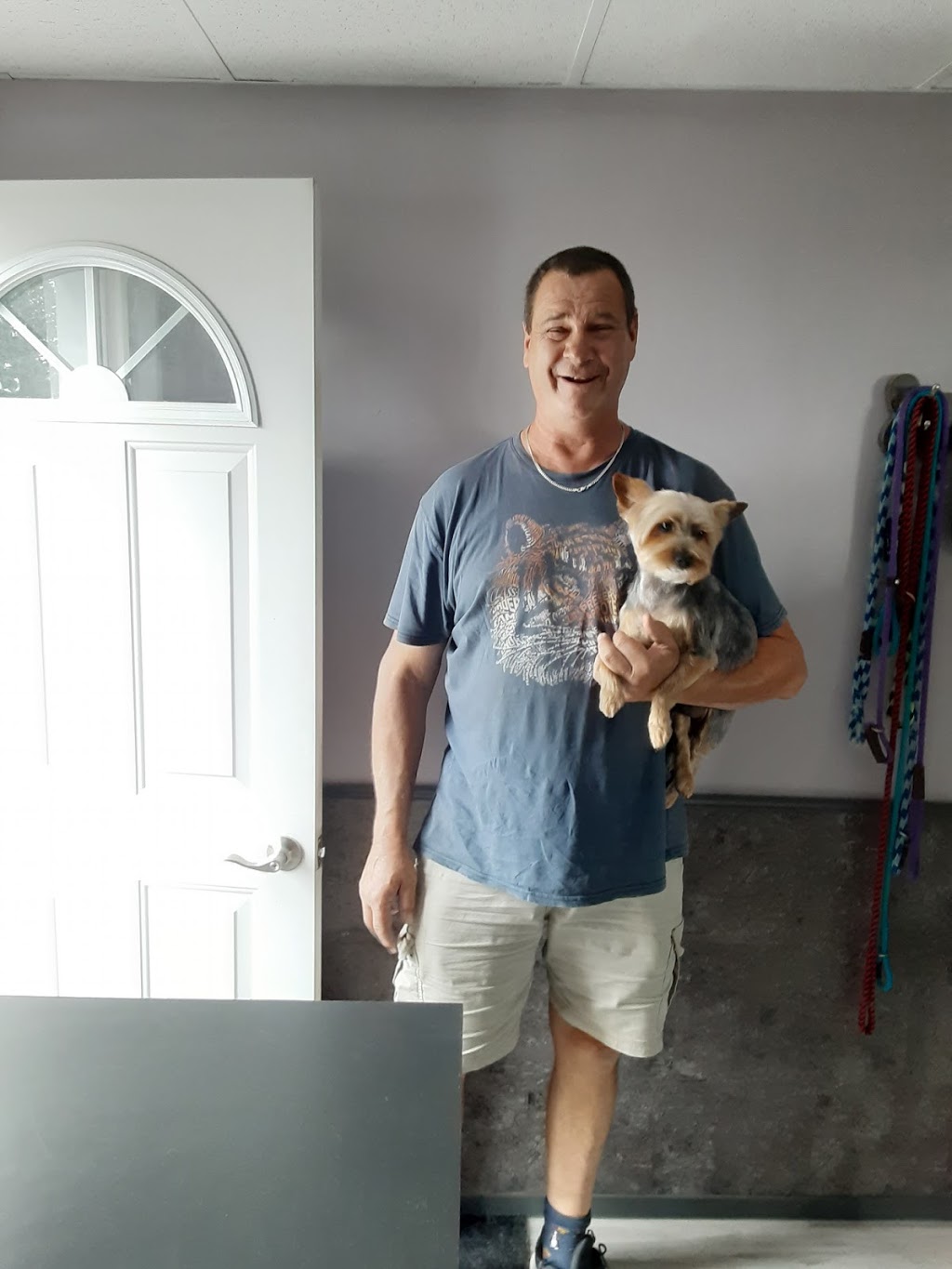 Dogs InVouge | 121 Murphy Rd, Angus, ON L0M 1B1, Canada | Phone: (705) 424-9550