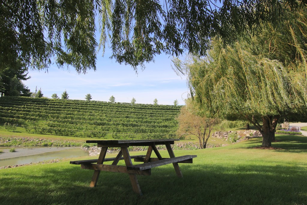 Vignoble Château Fontaine | 4900 Rue Martineau, Saint-Hyacinthe, QC J2S 7B8, Canada | Phone: (450) 799-4454