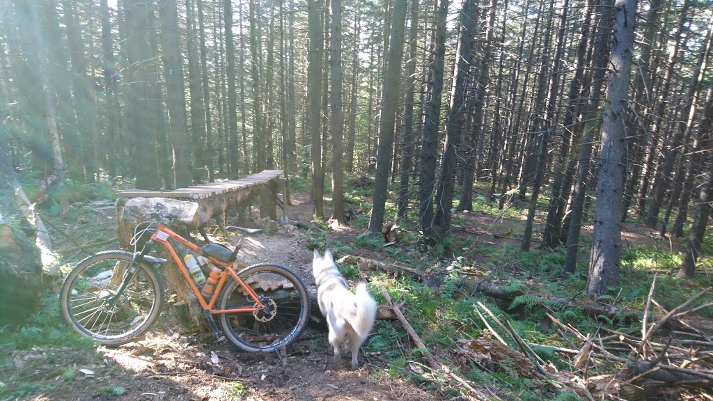 Plein air Sutton / MTB | 429 Rue Maple, Sutton, QC J0E 2K0, Canada | Phone: (450) 538-6464