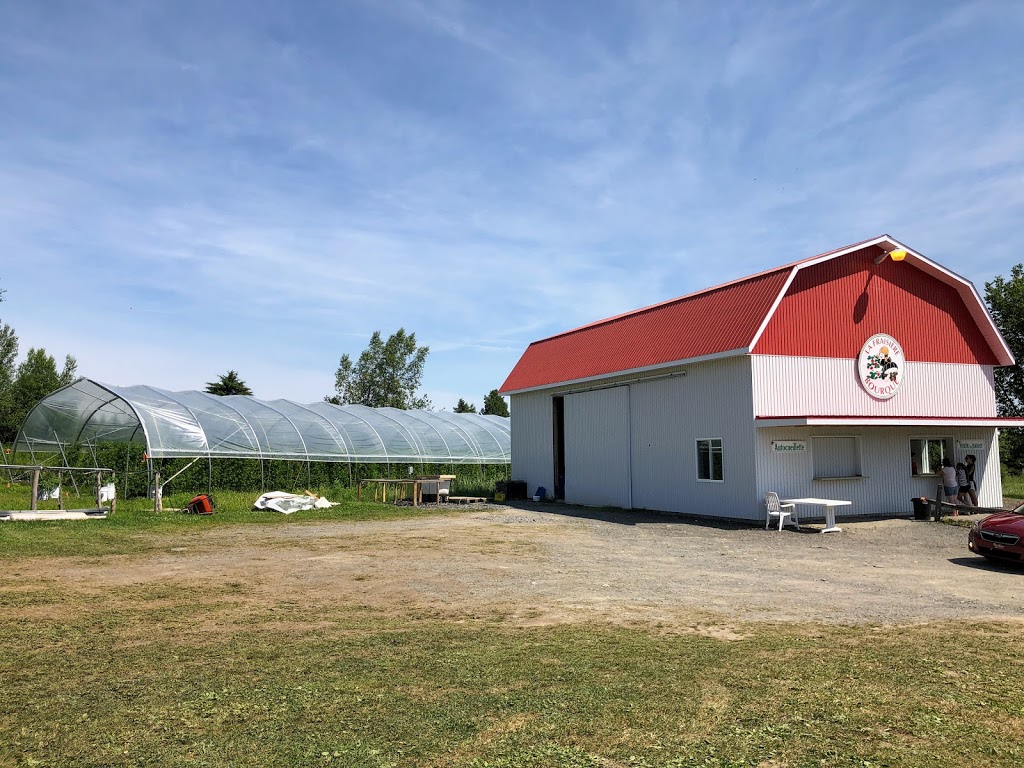 La Fraisière Bourque | 7110 6e Avenue S, Saint-Georges, QC G5Z 1N7, Canada | Phone: (418) 228-4615