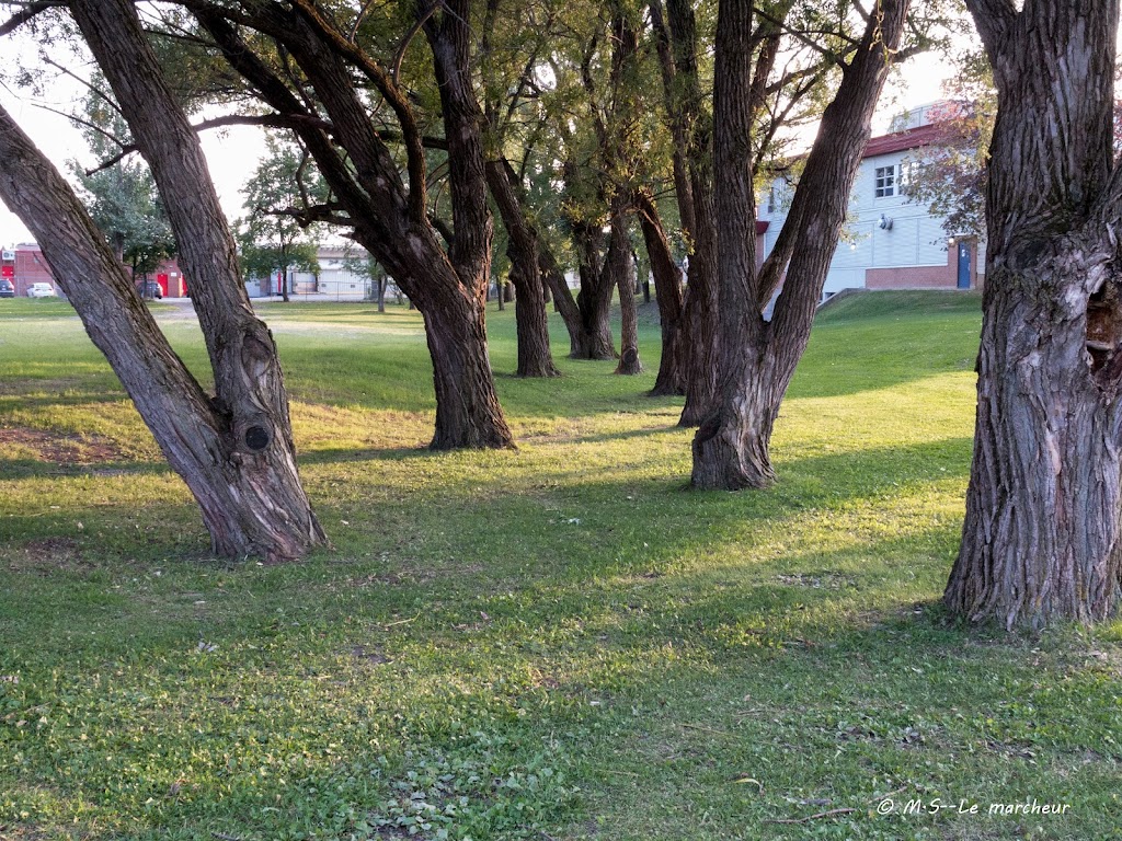 Chateauguay City Agora citizen | 75 Bd Maple, Châteauguay, QC J6J 3P9, Canada | Phone: (450) 698-3100