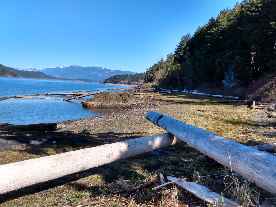 Outdoor Lovers Bed & Breakfast | 2661 2nd Ave, Port Alberni, BC V9Y 1Z6, Canada | Phone: (778) 814-7829