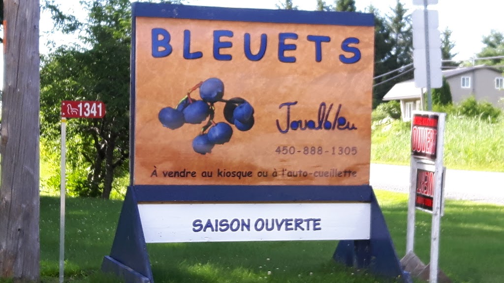 La bleuetière Joualbleu | 1341 Rte de Michaudville, Saint-Jude, QC J0H 1P0, Canada | Phone: (450) 888-1341