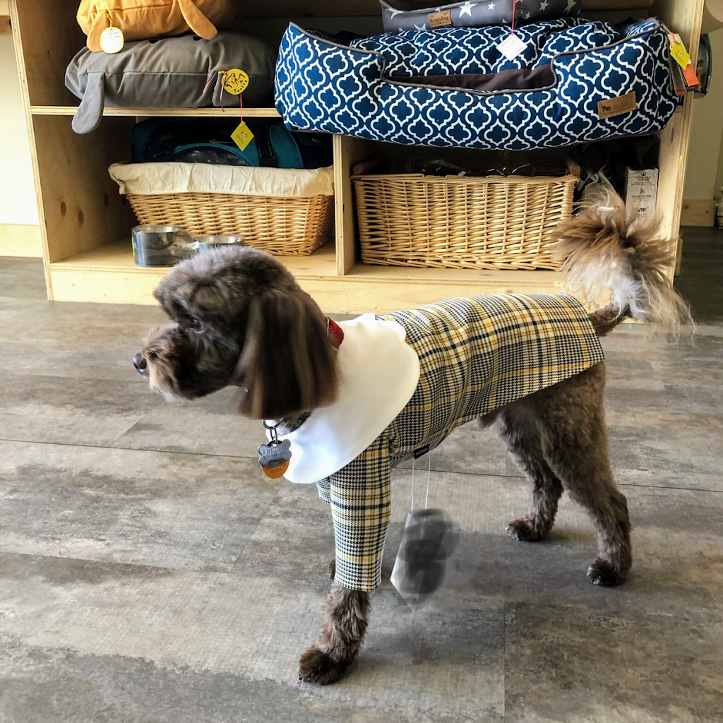 DogStar⭐️pet boutique&grooming spa | CA, 292 Eglinton Ave W, Toronto, ON M4R 1B2, Canada | Phone: (647) 797-2248