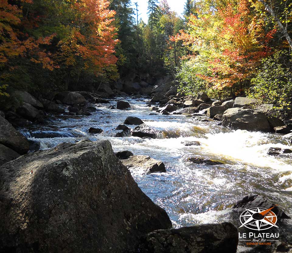 Le Plateau Nord-Est | 330 Rang de la Chute à Lessard, Saint-Alexis-des-Monts, QC J0K 1V0, Canada | Phone: (819) 996-4504