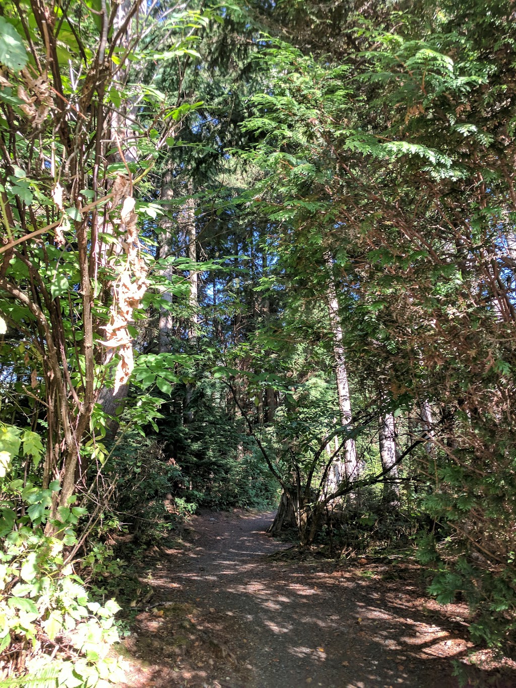 Turnberry Tot Lot | 2208 Turnberry Ln, Coquitlam, BC V3E 3N3, Canada | Phone: (604) 927-3000