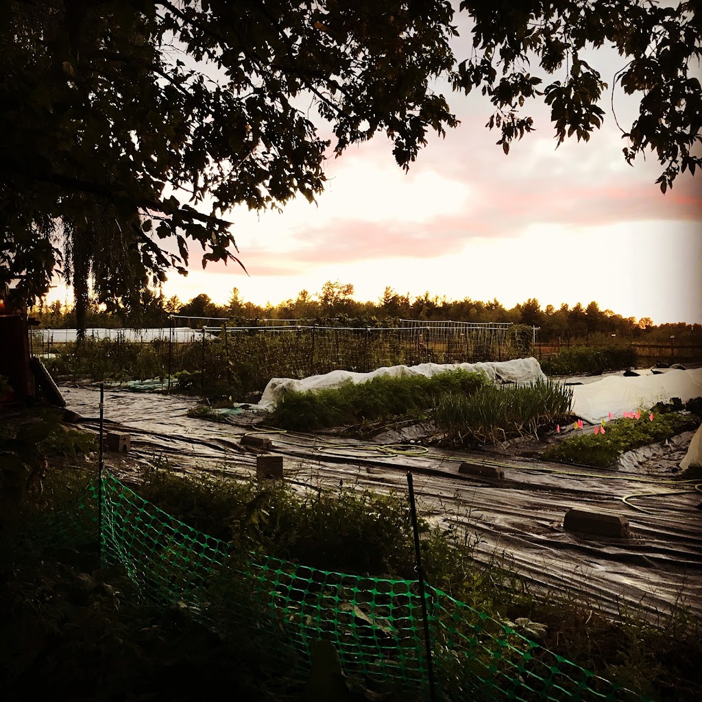 La ferme au grand saule | 450 Rue Saint-Patrice, Saint-Patrice-De-Sherrington, QC J0L 2N0, Canada | Phone: (514) 895-9288