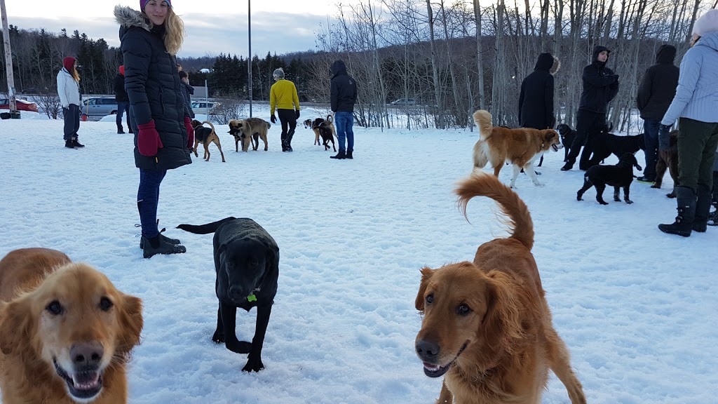 Parc du Gabbro | 98 Rue du Gabbro, Gatineau, QC J8Z 2M7, Canada