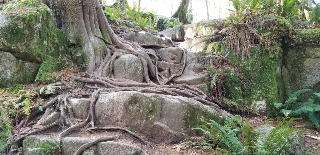 Minnekhada Park | 4455 Oliver Rd, Coquitlam, BC V3E 3H6, Canada | Phone: (604) 432-6352