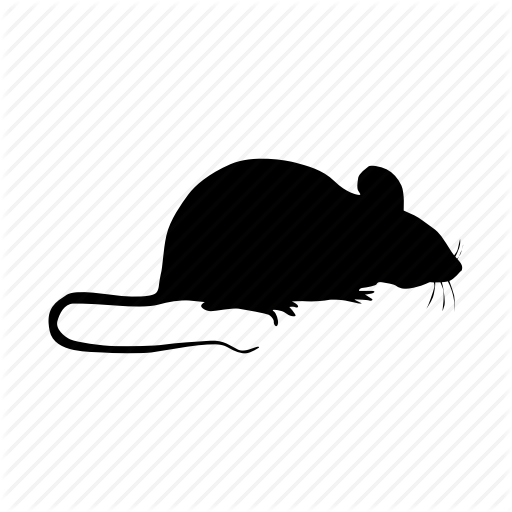 The Pest Control Guy | 42 Morningside Landing SW, Airdrie, AB T4B 0E2, Canada | Phone: (587) 437-6994