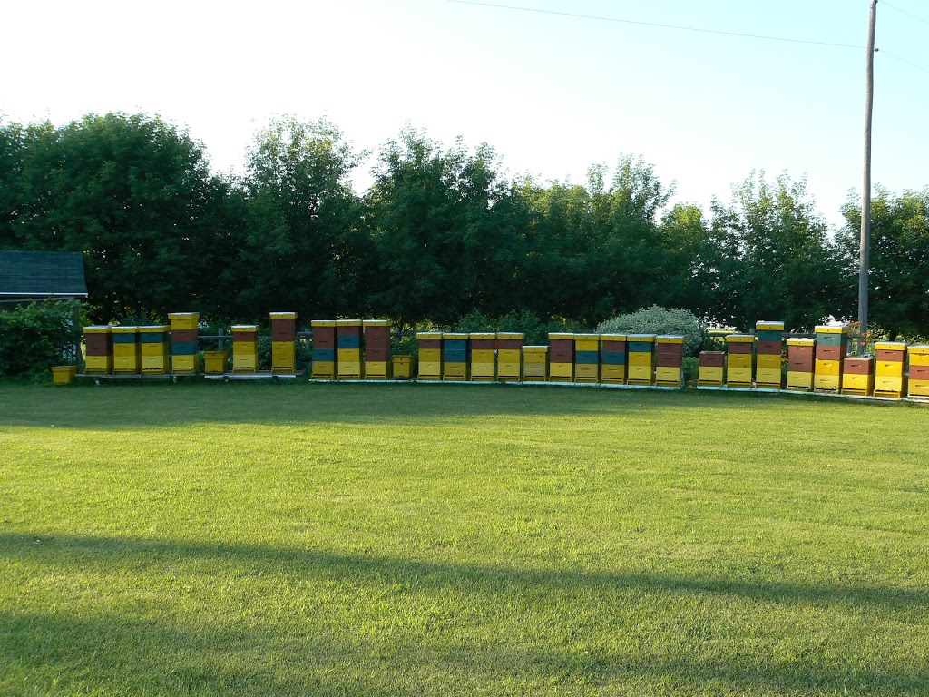 Golden Honey | Gretna, MB R0G 0V0, Canada | Phone: (204) 327-5463