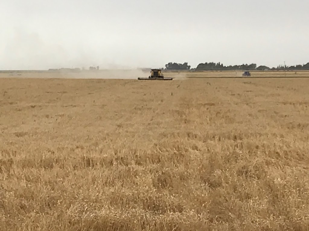 Bezco Farming Inc. | 201040 Hwy 512, Lethbridge County, AB T1M 1M9, Canada | Phone: (403) 634-4670