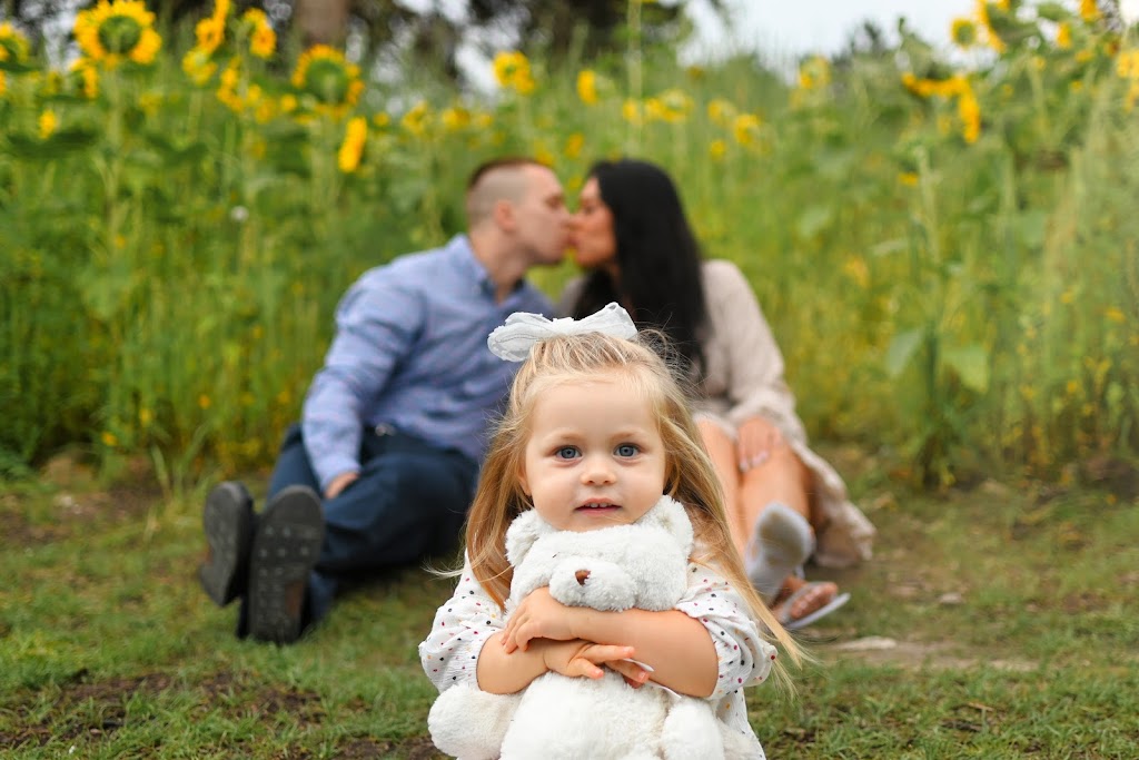 A.N. Photography | 240 Lagerfeld Dr #11, Brampton, ON L7A 5G9, Canada | Phone: (905) 922-6984
