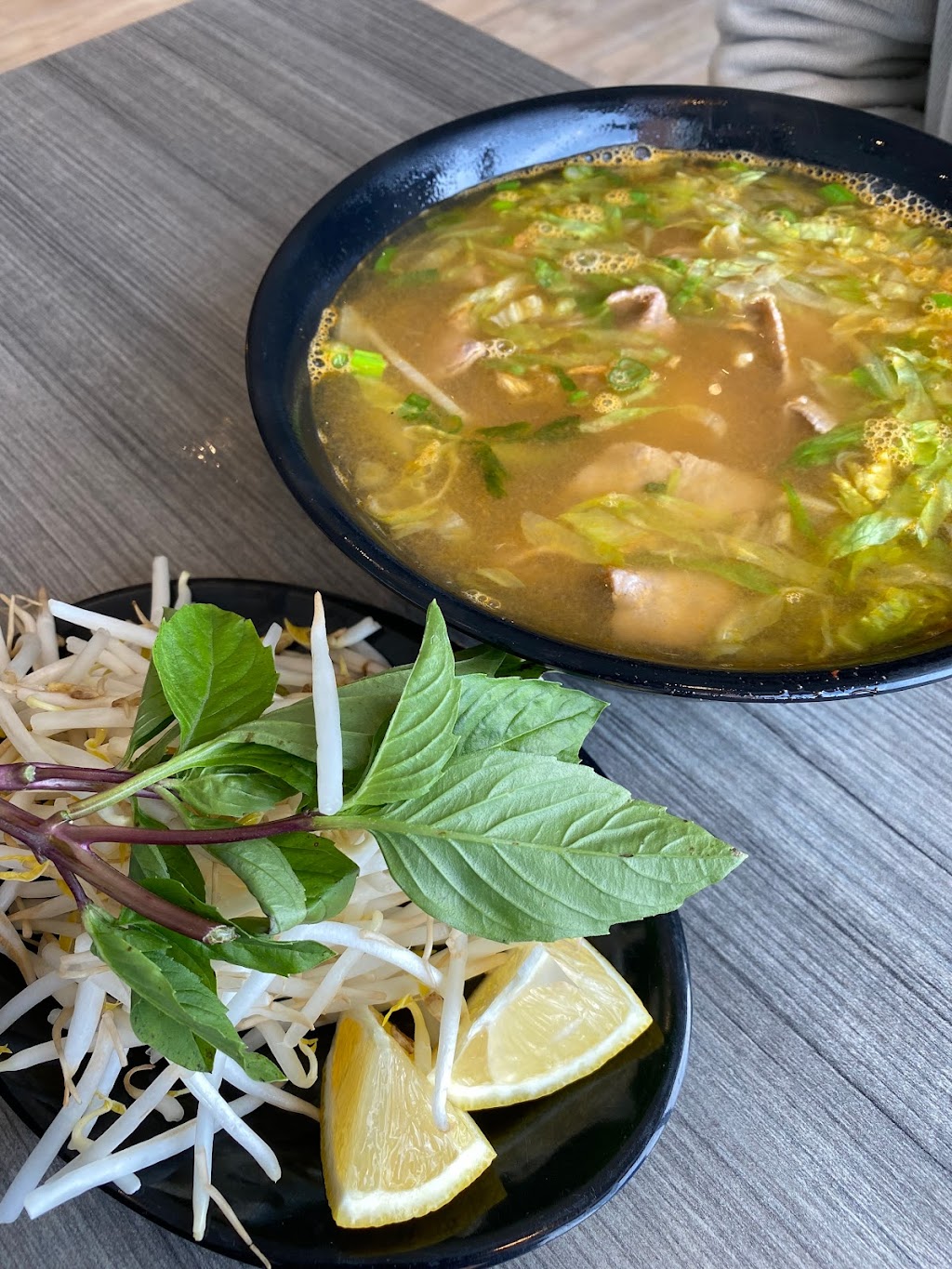 Delicious Pho | 2083 98 St NW, Edmonton, AB T6N 1K2, Canada | Phone: (780) 450-1114