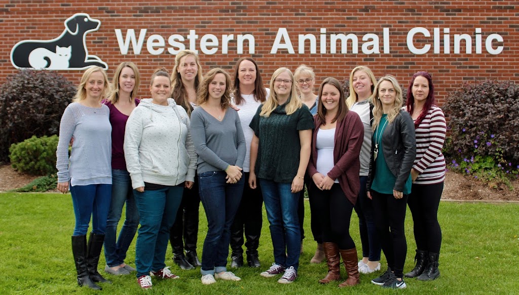 Western Animal Clinic | 455 Wharncliffe Rd S, London, ON N6J 2M8, Canada | Phone: (519) 672-1210