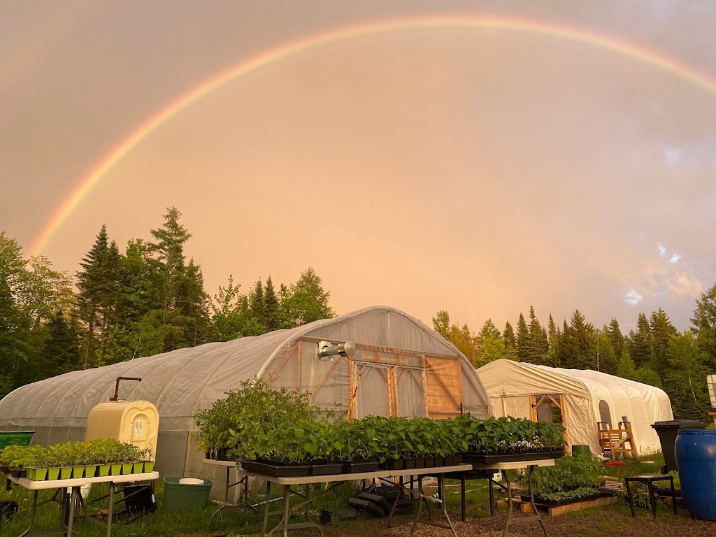 Ferme Grenier Long SENC | 192 Grand Rang, Saint-Basile, QC G0A 3G0, Canada | Phone: (418) 802-0733