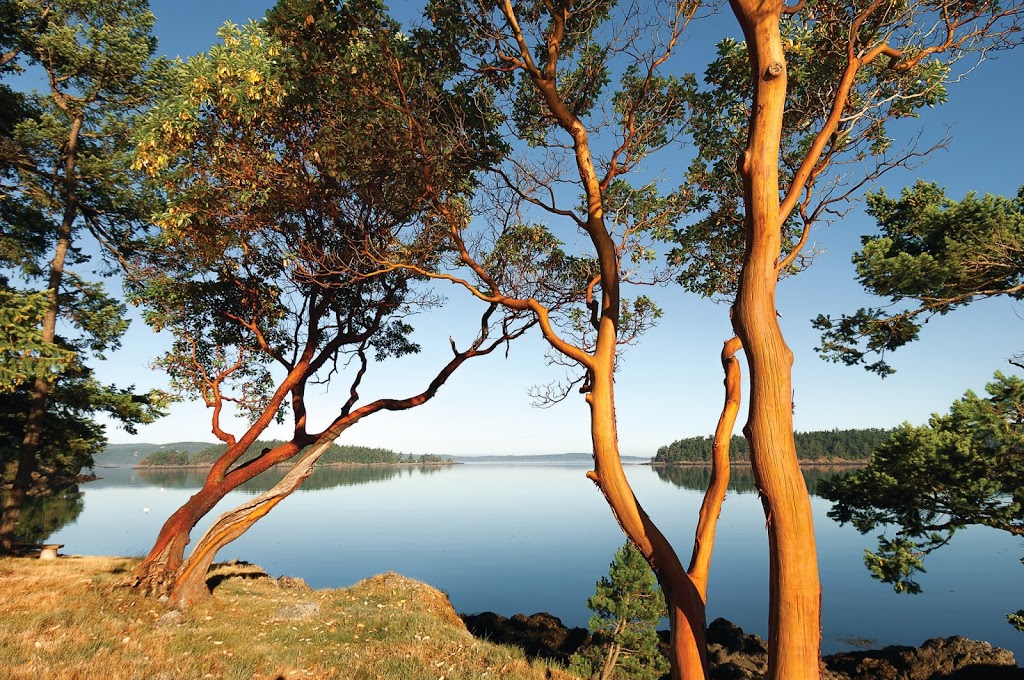 The Wally Gudgell Group with Windermere Orcas Island | 18 Haven Road, PST 310, Eastsound, WA 98245, USA | Phone: (360) 376-2172